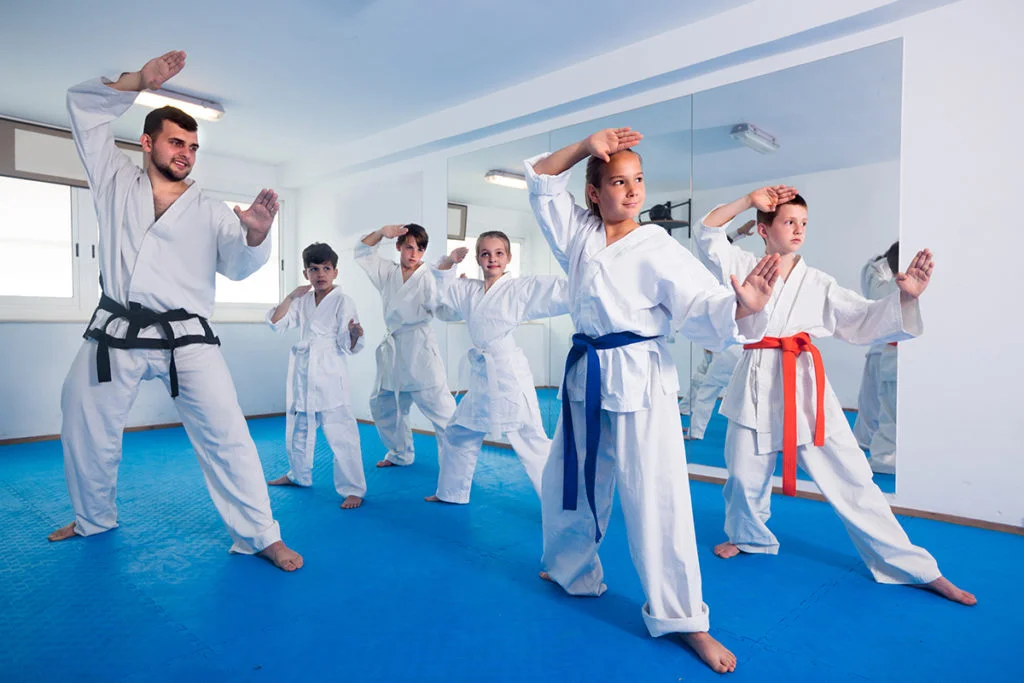karate lessons montgomery county pa