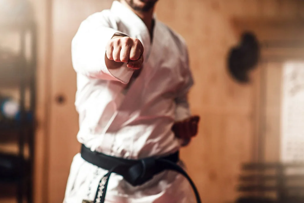 martial arts lansdale pa